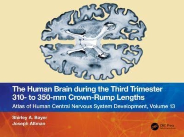 The Human Brain during the Third Trimester 310– to 350–mm Crown-Rump Lengths : Atlas of Central Nervous System Development, Volume 13, Paperback / softback Book