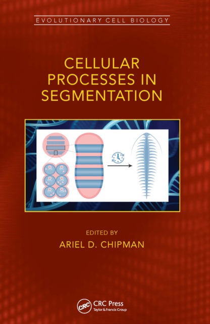 Cellular Processes in Segmentation, Paperback / softback Book