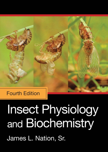 Insect Physiology and Biochemistry, Hardback Book