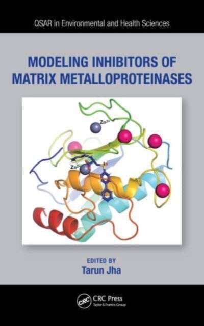 Modeling Inhibitors of Matrix Metalloproteinases, Hardback Book