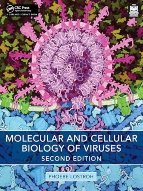 Molecular and Cellular Biology of Viruses, Paperback / softback Book