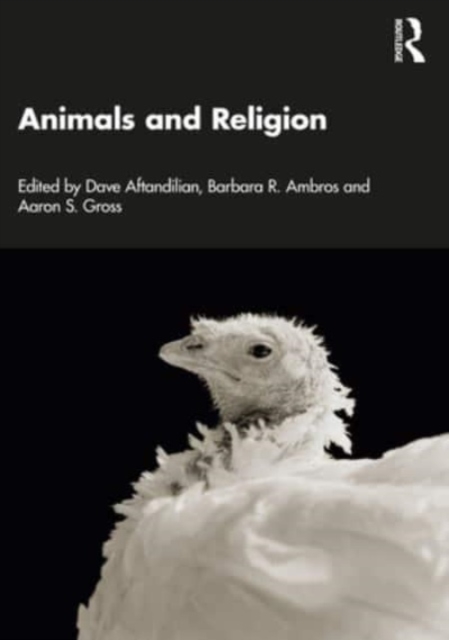 Animals and Religion, Paperback / softback Book