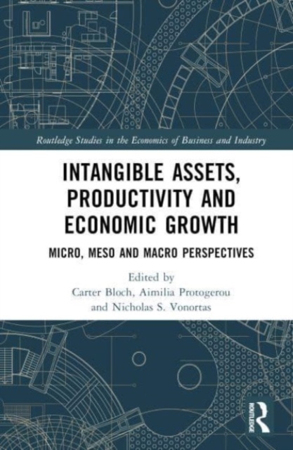 Intangible Assets, Productivity and Economic Growth : Micro, Meso and Macro Perspectives, Hardback Book
