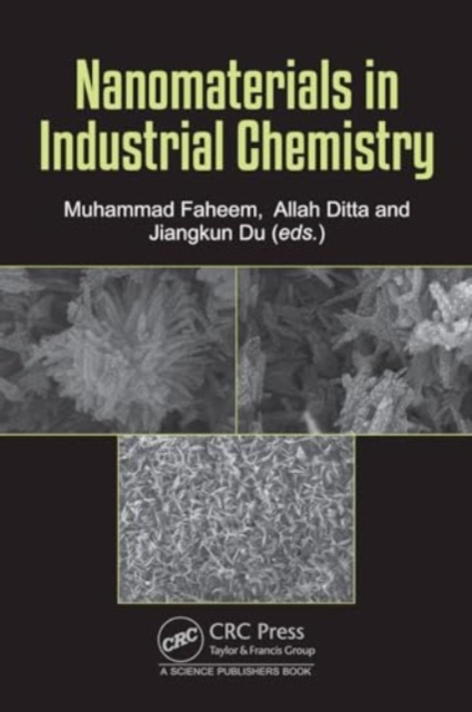 Nanomaterials in Industrial Chemistry, Hardback Book