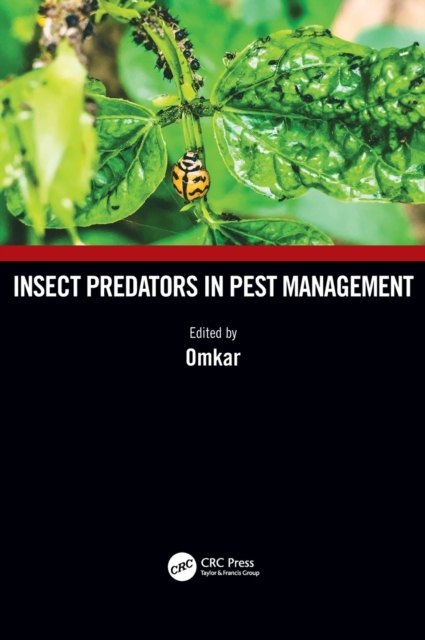 Insect Predators in Pest Management, Hardback Book