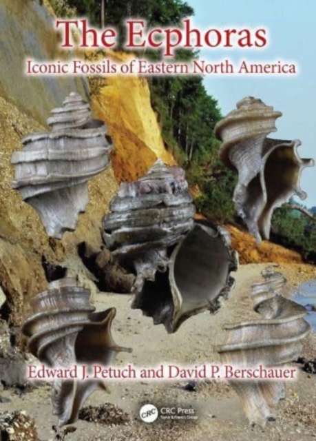 The Ecphoras : Iconic Fossils of Eastern North America, Hardback Book