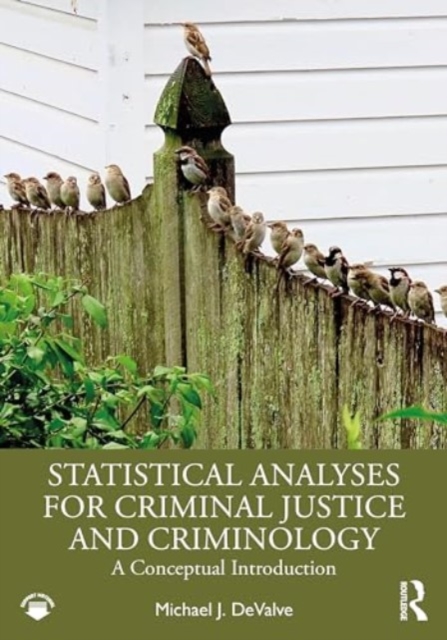 Statistical Analyses for Criminal Justice and Criminology : A Conceptual Introduction, Paperback / softback Book