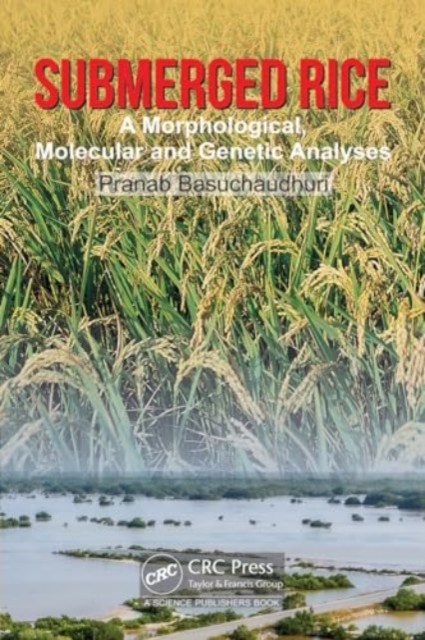 Submerged Rice : Morphological, Molecular and Genetic Analyses, Hardback Book