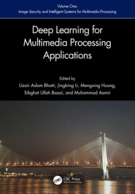 Deep Learning based applications for Multimedia Processing Applications : Volume 1 and 2, Multiple-component retail product Book