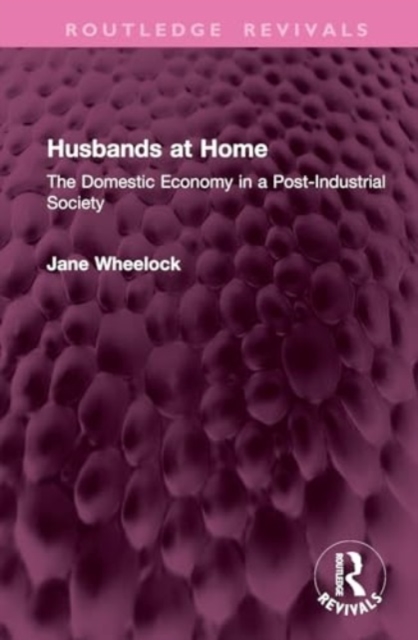 Husbands at Home : The Domestic Economy in a Post-Industrial Society, Hardback Book