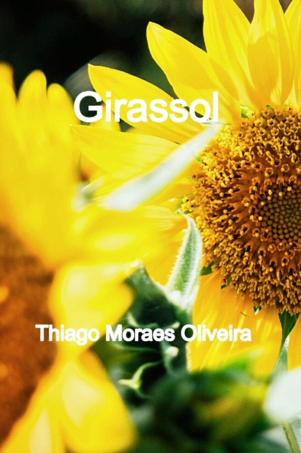 Girassol, Paperback / softback Book