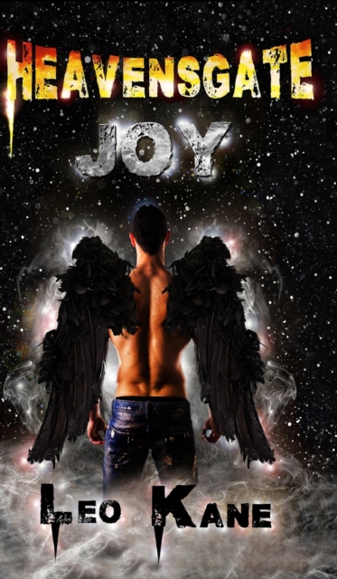 Heavensgate : Joy (Heavensgate Book 2), Hardback Book