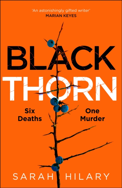 Black Thorn : A slow-burning, multi-layered mystery about families and their secrets and lies, Hardback Book