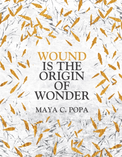 Wound is the Origin of Wonder, Paperback / softback Book