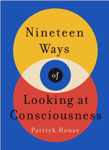Nineteen Ways of Looking at Consciousness : Our leading theories of how your brain really works, Hardback Book