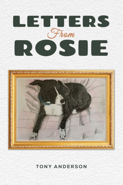 Letters from Rosie, Hardback Book