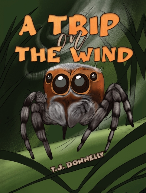 A Trip on the Wind, Hardback Book