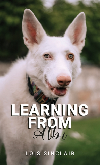 Learning from Albi, EPUB eBook