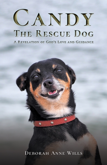 Candy the Rescue Dog : A Revelation of God's Love and Guidance, EPUB eBook