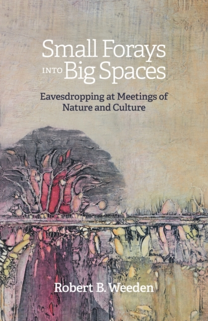 Small Forays Into Big Spaces : Eavesdropping at Meetings of Nature and Culture, Paperback / softback Book