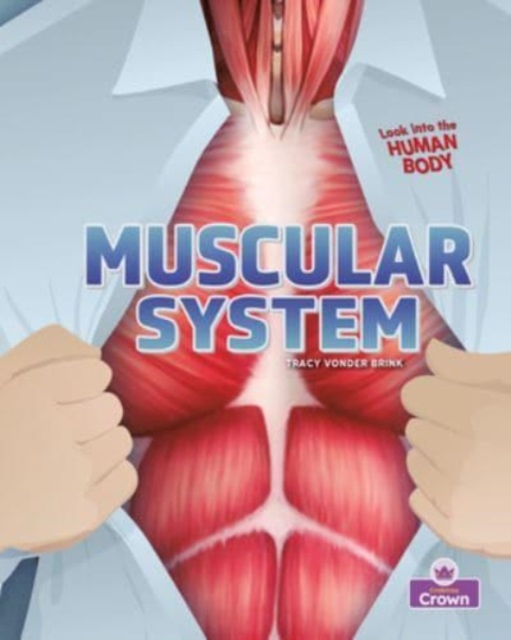 Muscular System, Paperback / softback Book