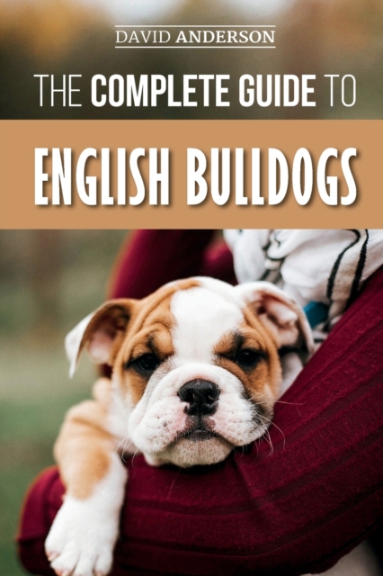 The Complete Guide to English Bulldogs : How to Find, Train, Feed, and Love your new Bulldog Puppy, Paperback / softback Book