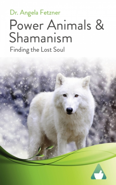 Power Animals & Shamanism, EPUB eBook