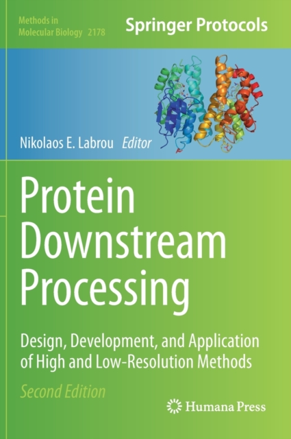 Protein Downstream Processing : Design, Development, and Application of High and Low-Resolution Methods, Hardback Book