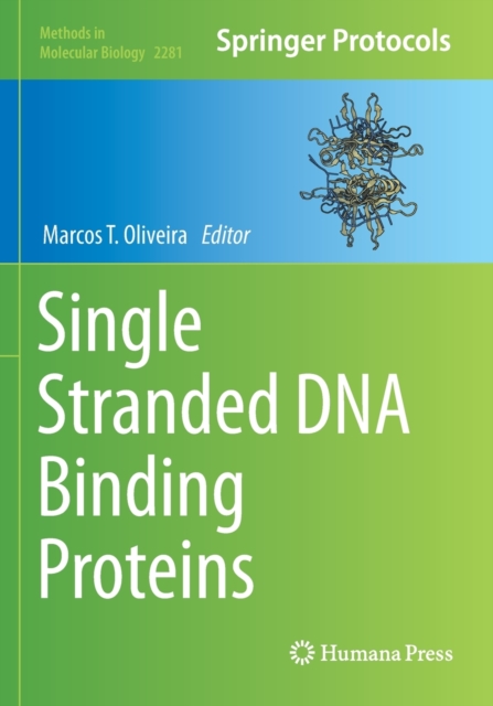 Single Stranded DNA Binding Proteins, Paperback / softback Book
