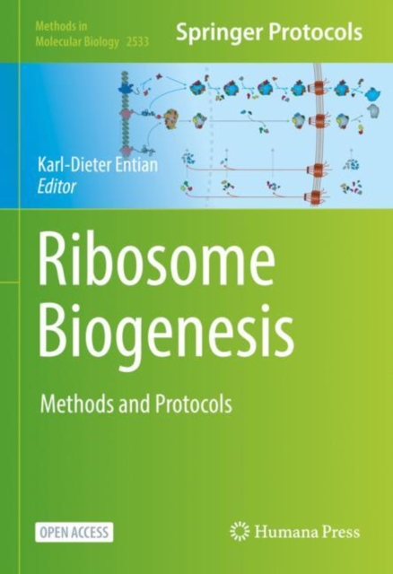 Ribosome Biogenesis : Methods and Protocols, Hardback Book