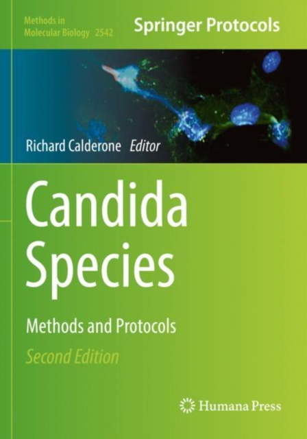 Candida Species : Methods and Protocols, Paperback / softback Book