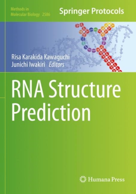 RNA Structure Prediction, Paperback / softback Book