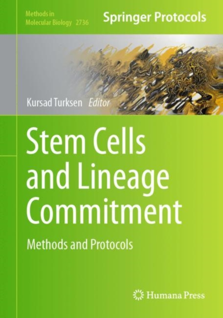 Stem Cells and Lineage Commitment : Methods and Protocols, Hardback Book