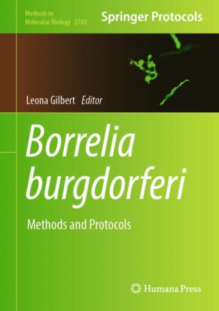 Borrelia burgdorferi : Methods and Protocols, Hardback Book