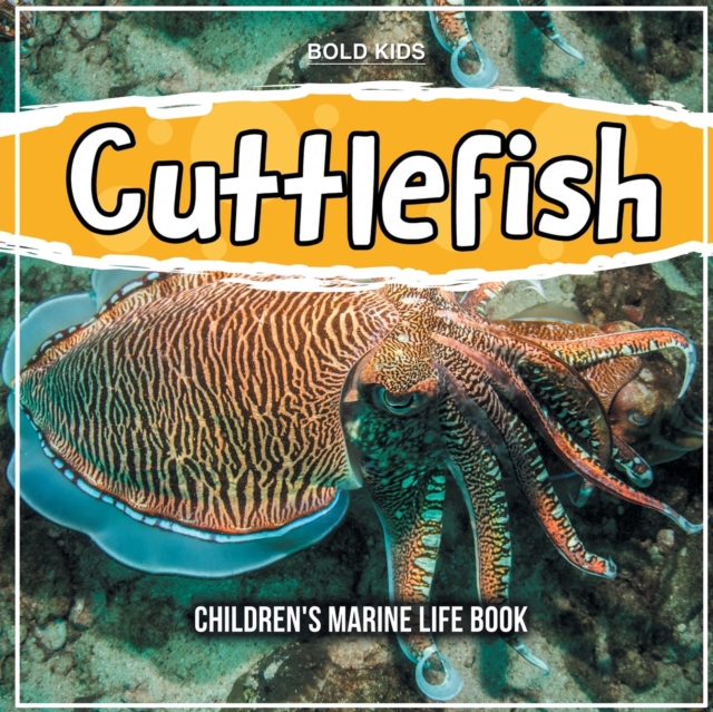 Cuttlefish : Children's Marine Life Book, Paperback / softback Book