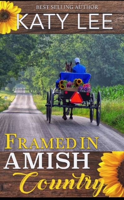 Framed in Amish Country : An Inspirational Romance, Paperback / softback Book