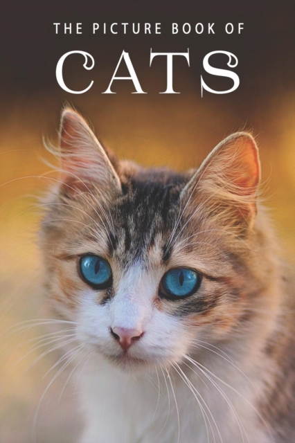 The Picture Book of Cats : A Gift Book for Alzheimer's Patients and Seniors with Dementia, Paperback / softback Book