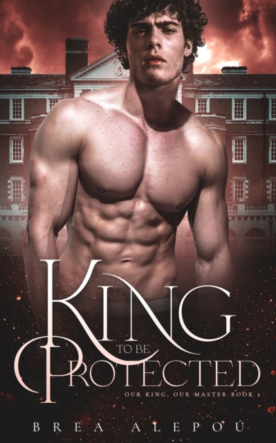 A King to be Protected : Gay Harem, Paperback / softback Book