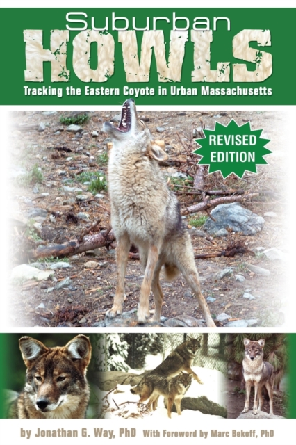 Suburban Howls : Tracking the Eastern Coyote in Urban Massachusetts, Paperback / softback Book