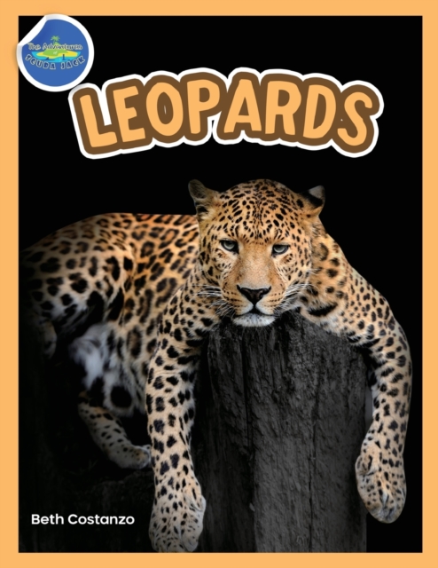 The Amazing World of Leopards Booklet with Activities ages 4-8, Paperback / softback Book