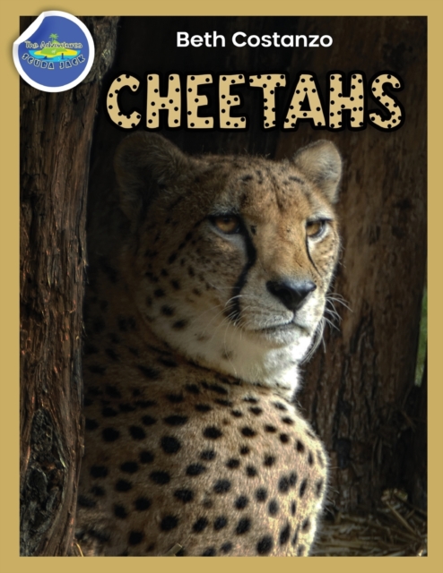 Cheetah Activity Workbook ages 4-8, Paperback / softback Book