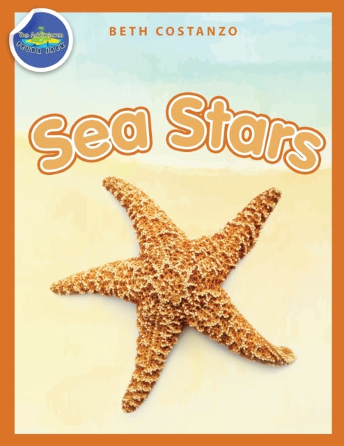 Sea Stars Activity Workbook ages 4-8, Paperback / softback Book