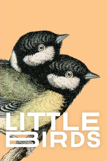Little Birds, Paperback / softback Book