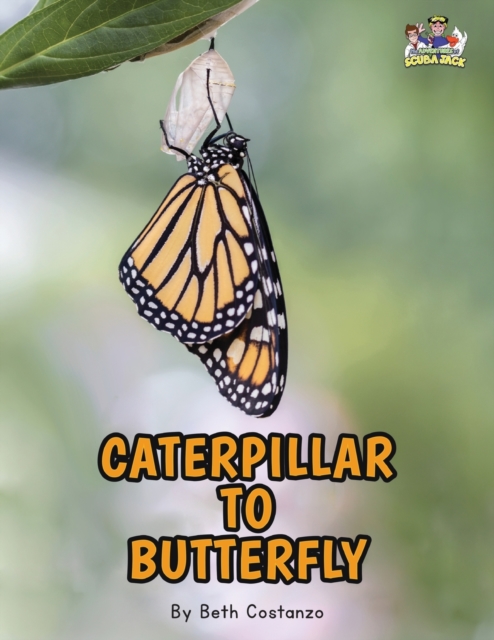 Letter C - Caterpillar to Butterfly for Kids 3-8, Paperback / softback Book