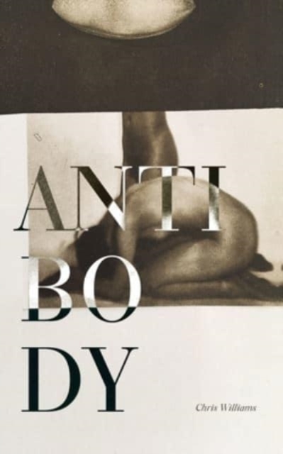 Antibody, Paperback / softback Book