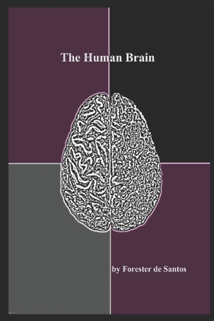 The Human Brain, Paperback / softback Book