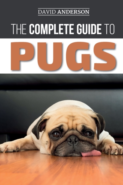 The Complete Guide to Pugs : Finding, Training, Teaching, Grooming, Feeding, and Loving your new Pug Puppy, Paperback / softback Book
