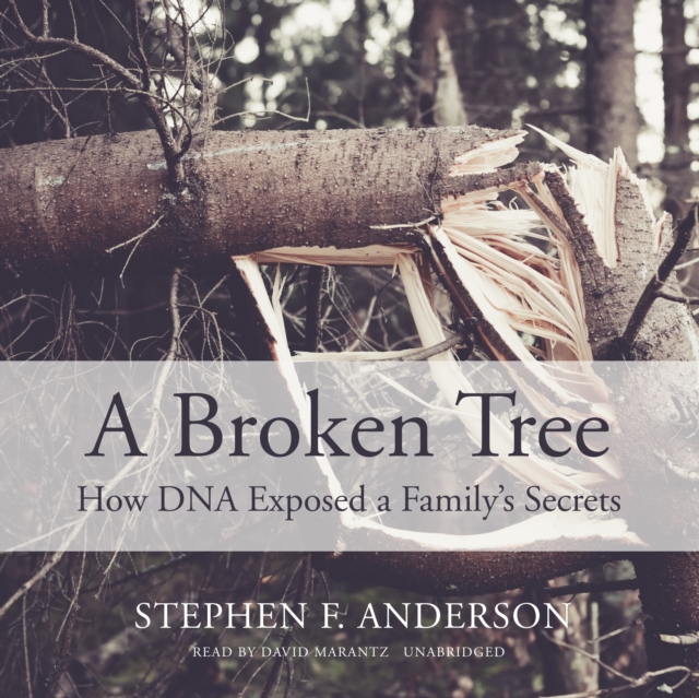 A Broken Tree, eAudiobook MP3 eaudioBook