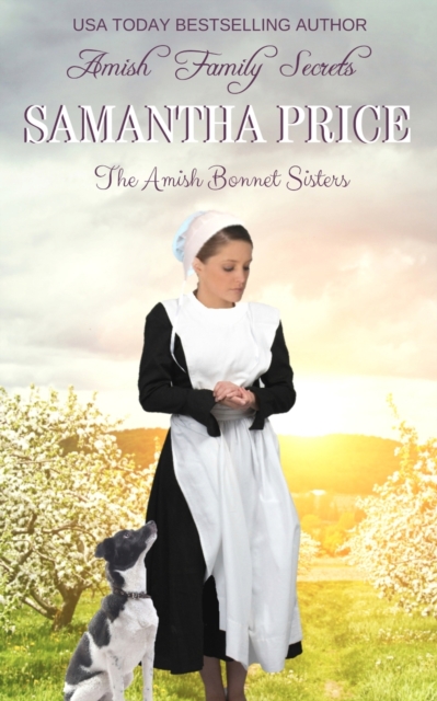 Amish Family Secrets : Amish Romance, Paperback / softback Book