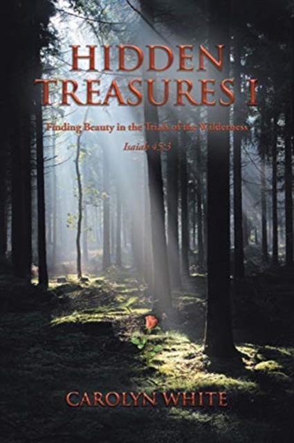 Hidden Treasures I : Finding Beauty in the Trials of the Wilderness, Paperback / softback Book
